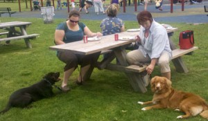 Students with dogs at a park