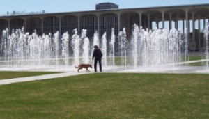 student working with dog in a plaza