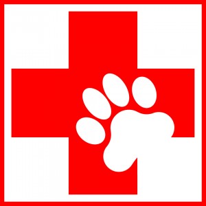Canine First Aid Manual