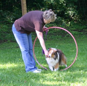 Dog Training Workshop Exercises