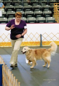 Diane Handling dog in ring