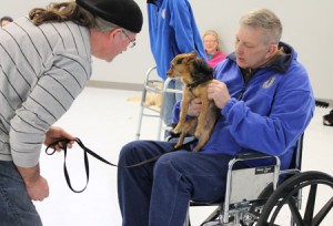dog being socialized to people in wheelchairs